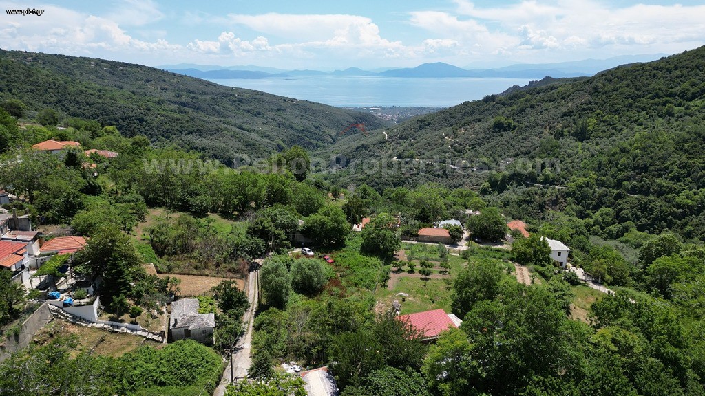 Οικόπεδο 2.000 τ.μ. πρός πώληση, Μαγνησία, Αγριά