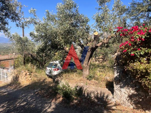 Οικόπεδο 500 τ.μ. για πώληση, Μεσσηνία, Καλαμάτα