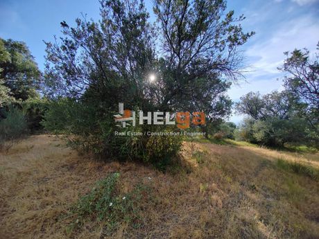 Οικόπεδο 4.222 τ.μ. για πώληση