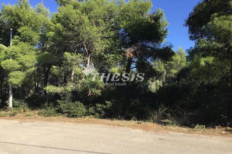 Land plot 4.000sqm for sale-Oropos » Center
