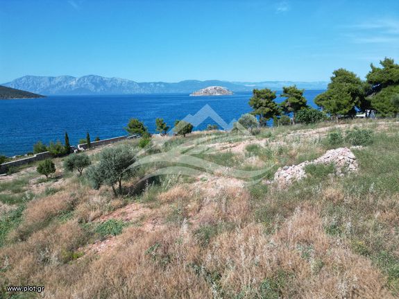 Οικόπεδο 7.315 τ.μ. για πώληση, Εύβοια, Ανθηδώνος
