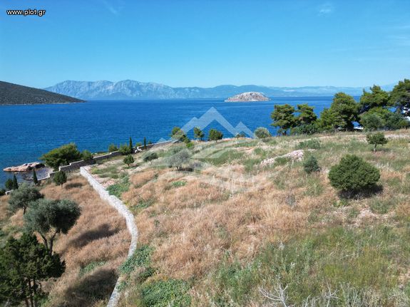 Land plot 2.508 sqm for sale, Evia, Anthidonos