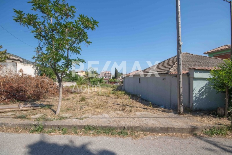 Οικόπεδο 423 τ.μ. πρός πώληση, Μαγνησία, Αγριά