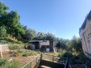 Οικόπεδο 264 τ.μ. για πώληση, Αχαΐα, Μεσσατίδα-thumb-26