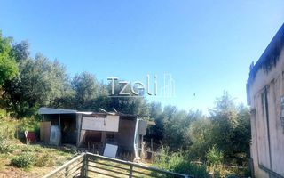 Οικόπεδο 264 τ.μ. για πώληση, Αχαΐα, Μεσσατίδα-thumb-29