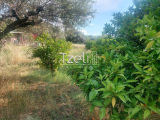 Οικόπεδο 675 τ.μ. για πώληση, Αχαΐα, Μεσσατίδα-thumb-10