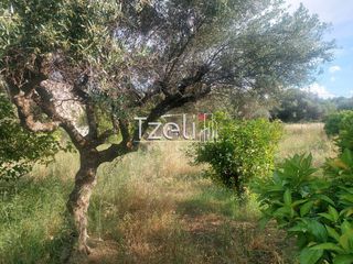 Οικόπεδο 675 τ.μ. για πώληση, Αχαΐα, Μεσσατίδα-thumb-29