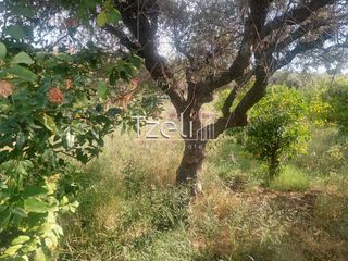 Οικόπεδο 675 τ.μ. για πώληση, Αχαΐα, Μεσσατίδα-thumb-21