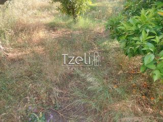 Οικόπεδο 675 τ.μ. για πώληση, Αχαΐα, Μεσσατίδα-thumb-8