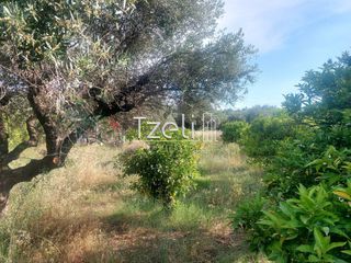 Οικόπεδο 675 τ.μ. για πώληση, Αχαΐα, Μεσσατίδα-thumb-25