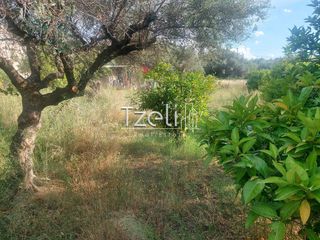 Οικόπεδο 675 τ.μ. για πώληση, Αχαΐα, Μεσσατίδα-thumb-26
