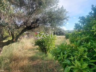 Οικόπεδο 675 τ.μ. για πώληση, Αχαΐα, Μεσσατίδα-thumb-16