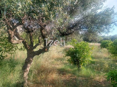Land plot 675sqm for sale-Messatida » Mpakari