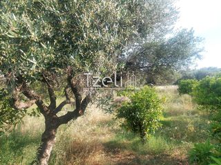 Οικόπεδο 675 τ.μ. για πώληση, Αχαΐα, Μεσσατίδα-thumb-24