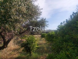 Οικόπεδο 675 τ.μ. για πώληση, Αχαΐα, Μεσσατίδα-thumb-22