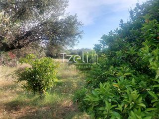 Οικόπεδο 675 τ.μ. για πώληση, Αχαΐα, Μεσσατίδα-thumb-15