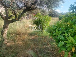 Οικόπεδο 675 τ.μ. για πώληση, Αχαΐα, Μεσσατίδα-thumb-12
