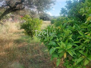 Οικόπεδο 675 τ.μ. για πώληση, Αχαΐα, Μεσσατίδα-thumb-13