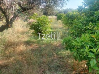 Οικόπεδο 675 τ.μ. για πώληση, Αχαΐα, Μεσσατίδα-thumb-18