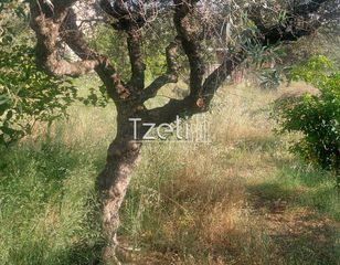 Οικόπεδο 675 τ.μ. για πώληση, Αχαΐα, Μεσσατίδα-thumb-19