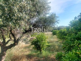 Οικόπεδο 675 τ.μ. για πώληση, Αχαΐα, Μεσσατίδα-thumb-20