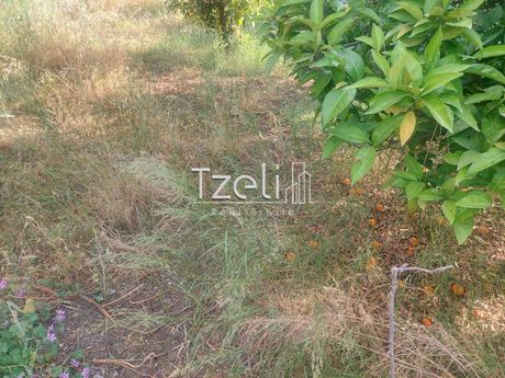Land plot 1.150sqm for sale-Messatida » Mpakari
