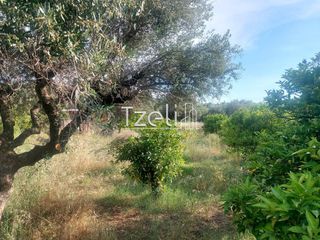 Οικόπεδο 1.150 τ.μ. για πώληση, Αχαΐα, Μεσσατίδα-thumb-27