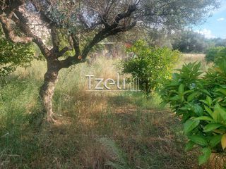 Οικόπεδο 1.150 τ.μ. για πώληση, Αχαΐα, Μεσσατίδα-thumb-5