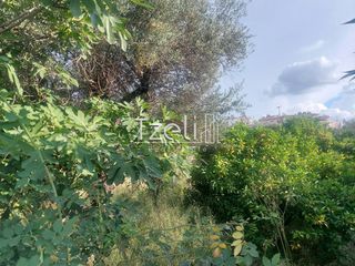 Οικόπεδο 1.150 τ.μ. για πώληση, Αχαΐα, Μεσσατίδα-thumb-11