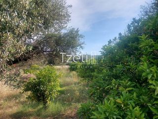 Οικόπεδο 1.150 τ.μ. για πώληση, Αχαΐα, Μεσσατίδα-thumb-6