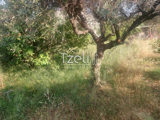 Οικόπεδο 1.150 τ.μ. για πώληση, Αχαΐα, Μεσσατίδα-thumb-14