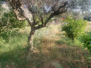 Οικόπεδο 1.150 τ.μ. για πώληση, Αχαΐα, Μεσσατίδα-thumb-17