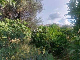 Οικόπεδο 1.150 τ.μ. για πώληση, Αχαΐα, Μεσσατίδα-thumb-7