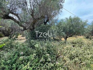 Οικόπεδο 2.500 τ.μ. για πώληση, Αχαΐα, Πάτρα-thumb-27