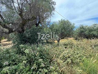 Οικόπεδο 2.500 τ.μ. για πώληση, Αχαΐα, Πάτρα-thumb-26
