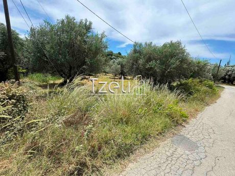Land plot 2.500sqm for sale-Patra » Agyia
