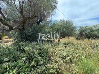 Οικόπεδο 2.500 τ.μ. για πώληση, Αχαΐα, Πάτρα-thumb-14