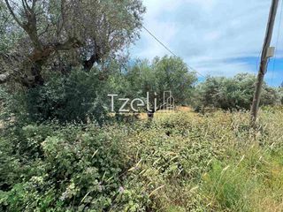 Οικόπεδο 2.500 τ.μ. για πώληση, Αχαΐα, Πάτρα-thumb-28