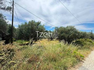 Οικόπεδο 2.500 τ.μ. για πώληση, Αχαΐα, Πάτρα-thumb-17