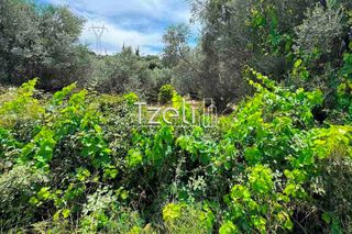 Οικόπεδο 2.500 τ.μ. για πώληση, Αχαΐα, Πάτρα-thumb-9