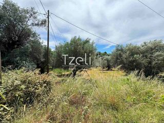 Οικόπεδο 2.500 τ.μ. για πώληση, Αχαΐα, Πάτρα-thumb-13