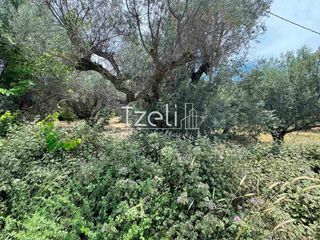Οικόπεδο 2.500 τ.μ. για πώληση, Αχαΐα, Πάτρα-thumb-11