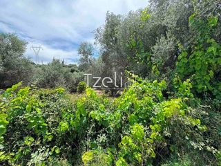 Οικόπεδο 2.500 τ.μ. για πώληση, Αχαΐα, Πάτρα-thumb-5