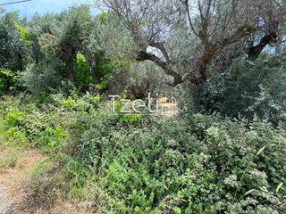 Οικόπεδο 2.500 τ.μ. για πώληση, Αχαΐα, Πάτρα-thumb-25