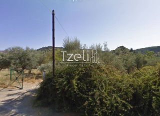 Οικόπεδο 4.100 τ.μ. για πώληση, Αχαΐα, Μεσσατίδα-thumb-3