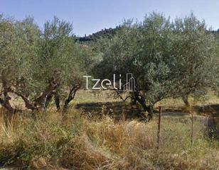 Οικόπεδο 4.100 τ.μ. για πώληση, Αχαΐα, Μεσσατίδα-thumb-9