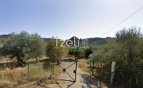 Οικόπεδο 4.100τ.μ. για πώληση-Μεσσατίδα » Καλλιθεόκαμπος