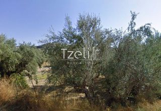Οικόπεδο 4.100 τ.μ. για πώληση, Αχαΐα, Μεσσατίδα-thumb-1