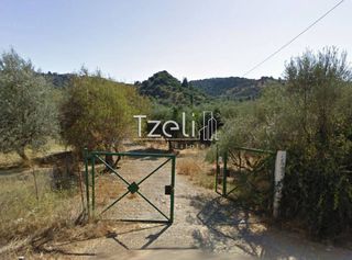 Οικόπεδο 4.100 τ.μ. για πώληση, Αχαΐα, Μεσσατίδα-thumb-4