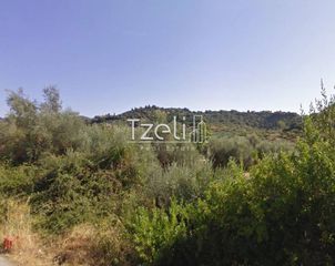 Οικόπεδο 4.100 τ.μ. για πώληση, Αχαΐα, Μεσσατίδα-thumb-8